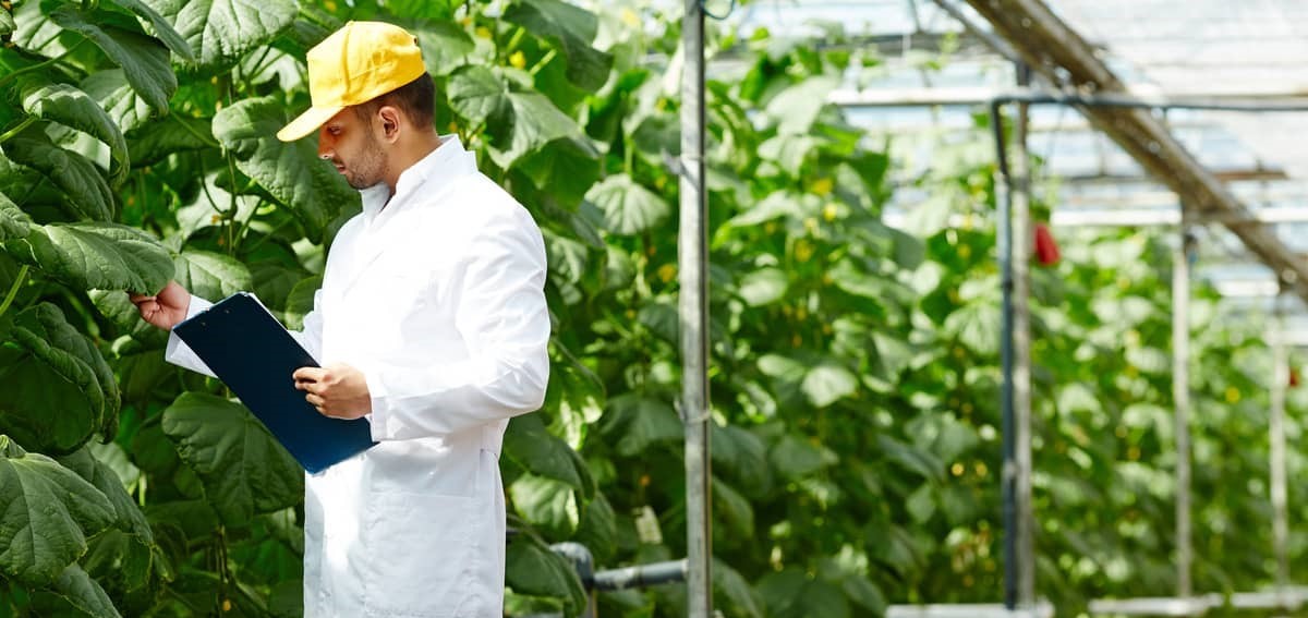 عروض المشاريع الزراعية